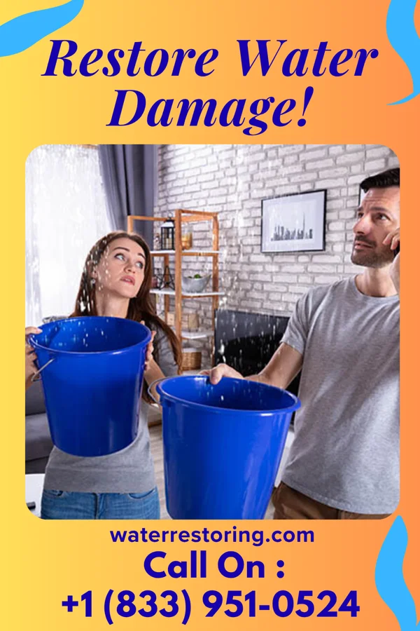 water restoration Elite Flood Cleanup Masters Armonk